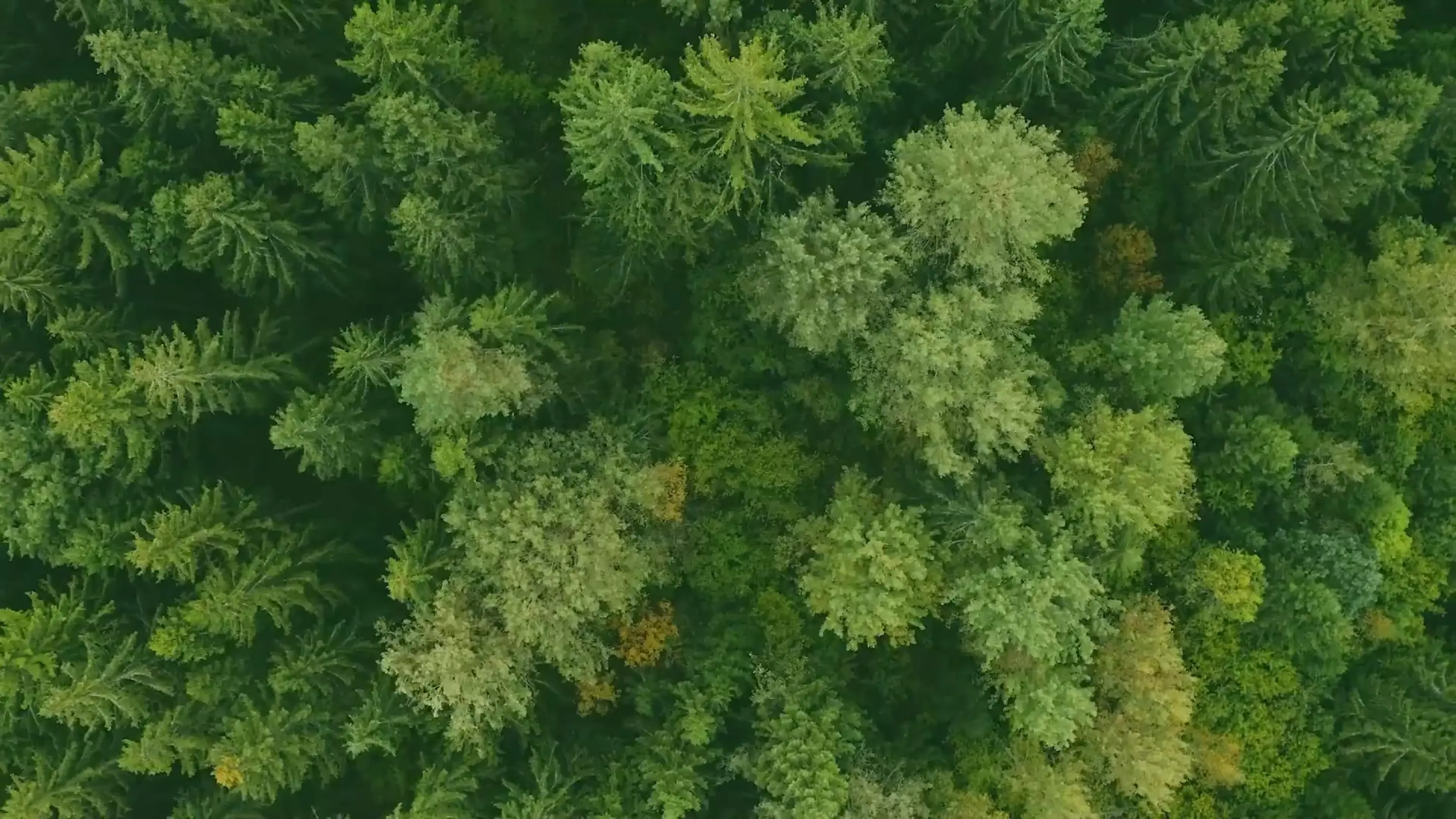 case-voith-titelbild